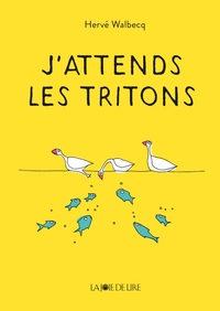 J'ATTENDS LES TRITONS