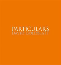 David Goldblatt Particulars /anglais