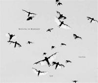 Trent Parke Minutes to Midnight /anglais