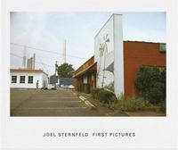 Joel Sternfeld First Pictures /anglais