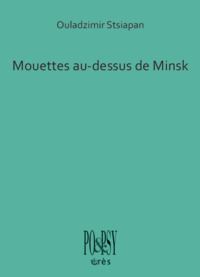 Mouettes au-dessus de Minsk