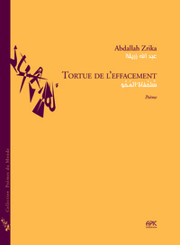 TORTUE DE L'EFFACEMENT