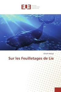 Sur les Feuilletages de Lie