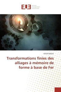 Transformations finies des alliages à mémoire de forme à base de Fer