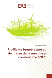 Profile de température et de masse dans une pile à combustible SOFC
