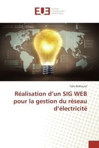Realisation d'un SIG WeB pour la gestion du reseau d'electricite