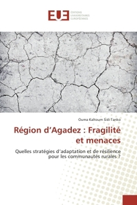 Region d'Agadez : Fragilite et menaces