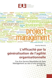 L'efficacité par la généralisation de l'agilité organisationnelle