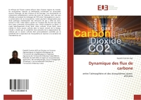 Dynamique des flux de carbone