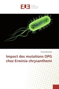Impact des mutations OPG chez erwinia chrysanthemi