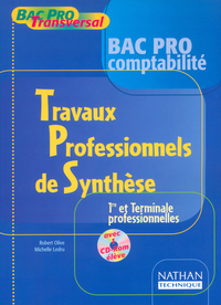 TRAVAUX PROFESSIONNELS DE SYNTHESE BAC PRO COMPTABILITE + CD-ROM ELEVE 1RE ET TERM PROFESSIONNELLES