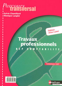 TRAVAUX PROF TERM BEP COMP 06