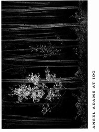 Ansel Adams at 100 (Hardback) /anglais