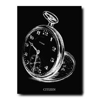 CITIZEN - THE ESSENCE OF TIME