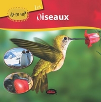 LES OISEAUX