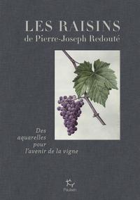 Les raisins de Jean-Joseph Redouté