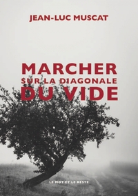 MARCHER SUR LA DIAGONALE DU VIDE