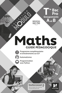 Mathématiques - Modulo Tle Bac Pro Groupements A et B, Livre du professeur