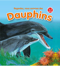 Regardez nous sommes des dauphins