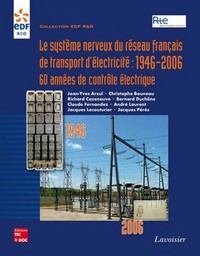 LE SYSTEME NERVEUX DU RESEAU FRANCAIS DE TRANSPORT D'ELECTRICITE (COLLECTION EDF R&D)
