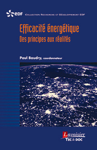 EFFICACITE ENERGETIQUE - DES PRINCIPES AUX REALITES