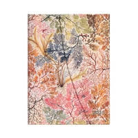 12-Mois 2025 Anemone Midi HOR