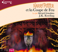 Harry Potter, IV : Harry Potter et la Coupe de Feu