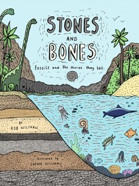 Stones and Bones: Fossils and the stories they tell /anglais