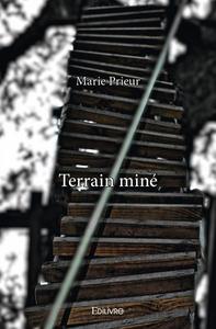 Terrain miné