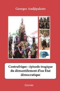 Centrafrique : épisode tragique du démantèlement d'un État démocratique