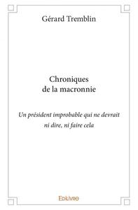 Chroniques de la macronnie (un président improbable qui ne devrait ni dire, ni faire cela)