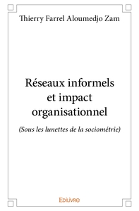 Réseaux informels et impact organisationnel