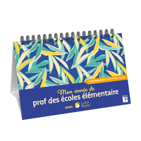 MON ANNEE DE PROF D'ELEMENTAIRE AVEC LUTIN BAZAR