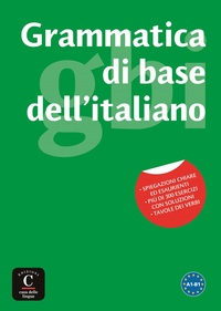 GRAMMATICA DI BASE DELL ITALIANO - LA PRIMA GRAMMATICA COGNITIVA DELL'ITALIANO