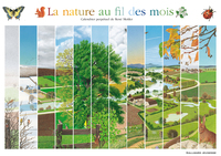 La nature au fil des mois