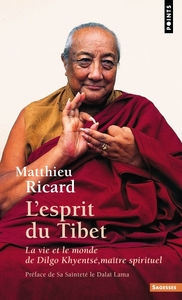 L'ESPRIT DU TIBET - LA VIE ET LE MONDE DE DILGO KHYENTSE, MAITRE SPIRITUEL