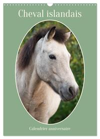 Cheval islandais - Calendrier anniversaire (Calendrier mural 2026 DIN A3 horizontal), CALVENDO calendrier mensuel