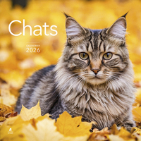 Calendrier 2026 - Chats