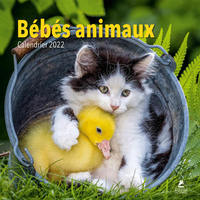 Bébés animaux - Calendrier 2022