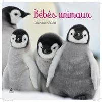 Calendrier Bébés Animaux 2020