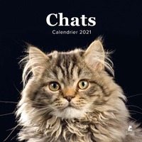 Chats - Calendrier 2021