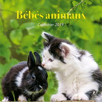 Bébés animaux - Calendrier 2019