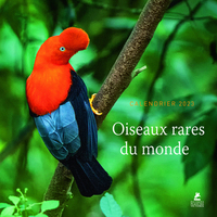 OISEAUX RARES DU MONDE - CALENDRIER 2023