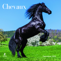 CHEVAUX - CALENDRIER 2023