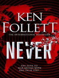 NEVER (HARDBACK)