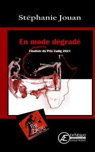 EN MODE DEGRADE - NOUVELLE POLICIERE PRIX ZADIG
