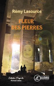 FLEUR DES PIERRES - ROMAN JEUNESSE