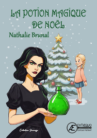 LA POTION MAGIQUE DE NOEL