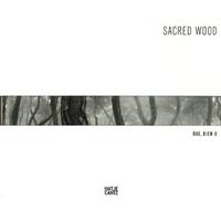 Bae Bien-U Sacred Wood /anglais