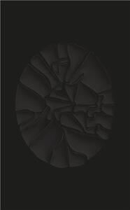 HAEGUE YANG THE GREAT FORGETFULNESS /ANGLAIS